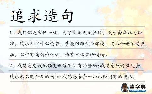 追求造句