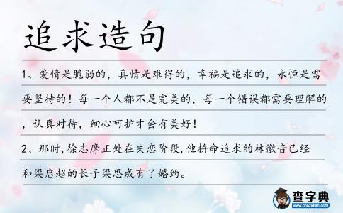追求造句