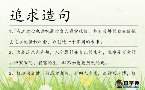 追求造句