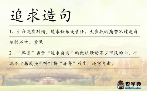 追求造句