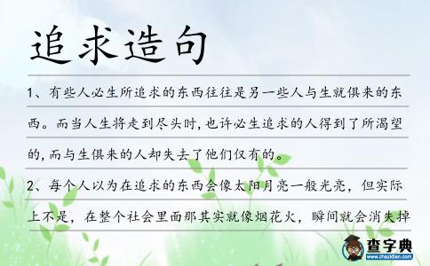 追求造句
