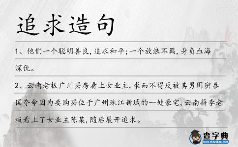 追求造句