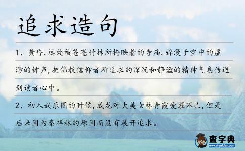 追求造句
