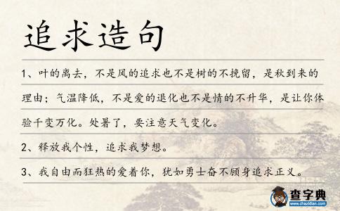 追求造句