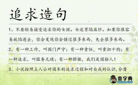 追求造句