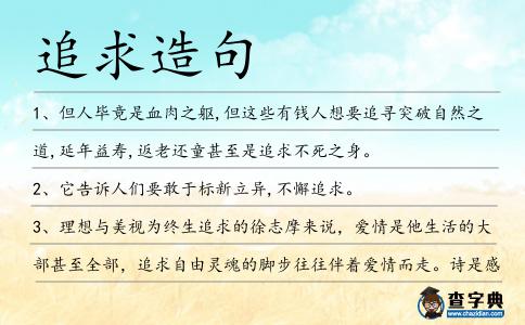 追求造句