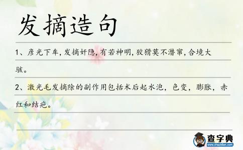 發摘造句