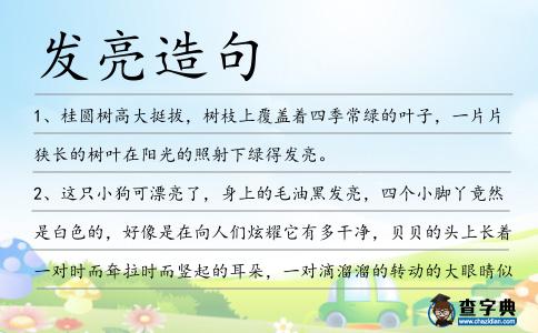 發亮造句