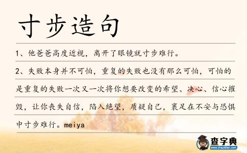 寸步造句