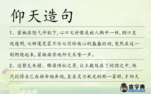 仰天造句