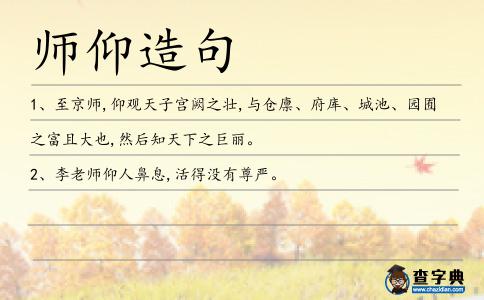 師仰造句