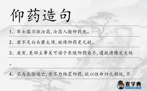 仰藥造句