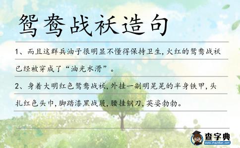 鴛鴦戰(zhàn)襖造句