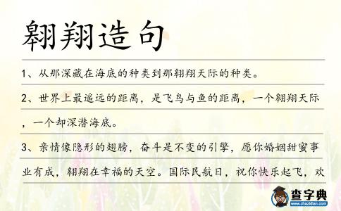 翱翔造句