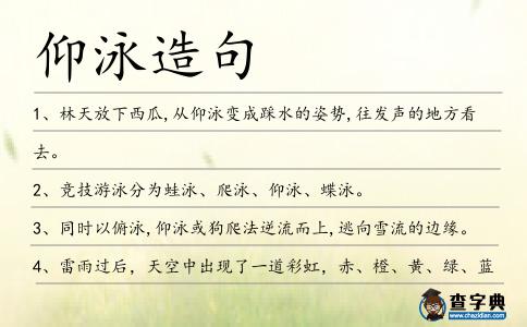 仰泳造句