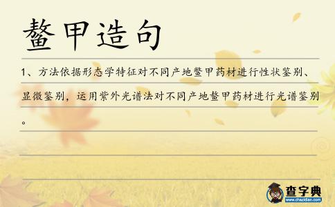鰲甲造句
