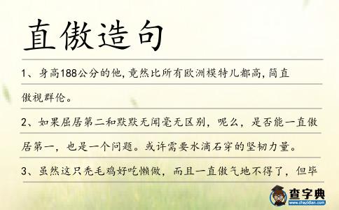 直傲造句
