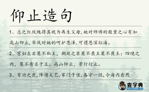 仰止造句