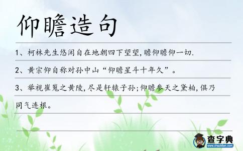 仰瞻造句