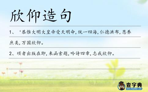 欣仰造句