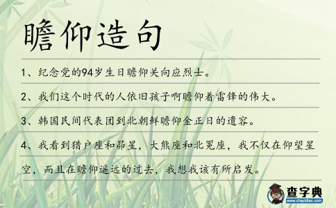 瞻仰造句