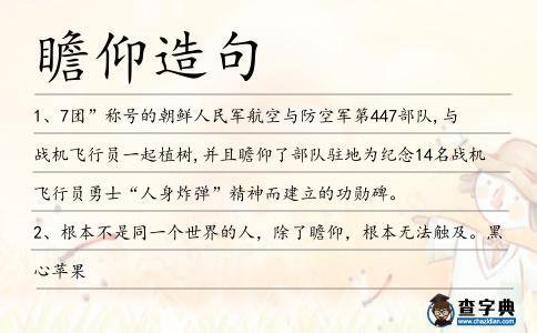 瞻仰造句