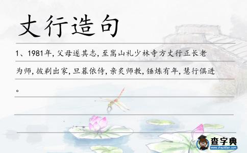 丈行造句
