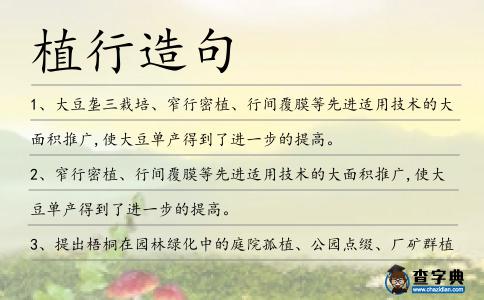 植行造句