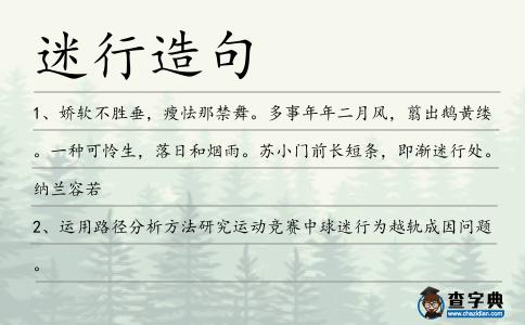 迷行造句