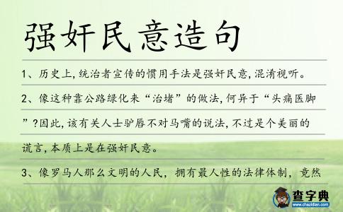 強奸民意造句