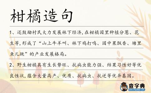 柑橘造句