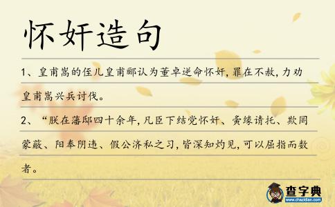 懷奸造句