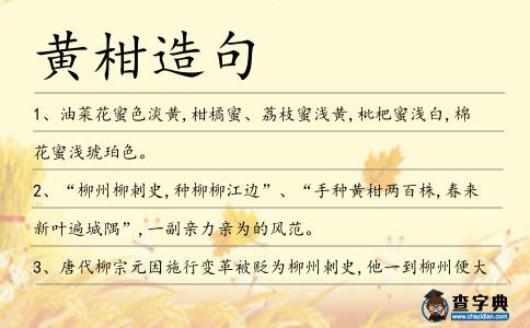 黃柑造句
