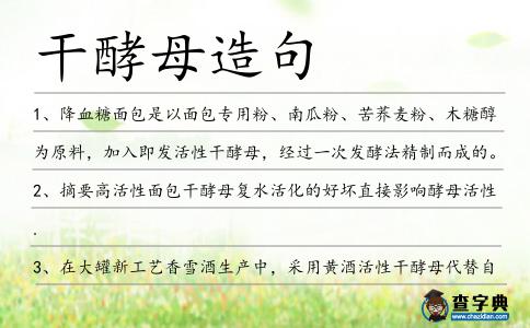 干酵母造句