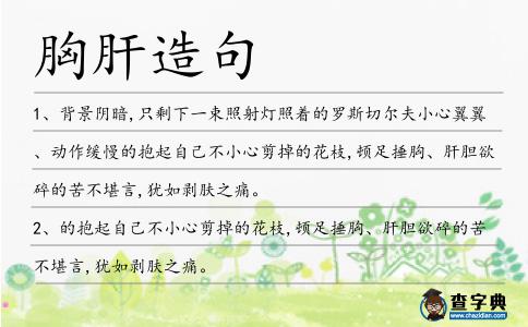 胸肝造句
