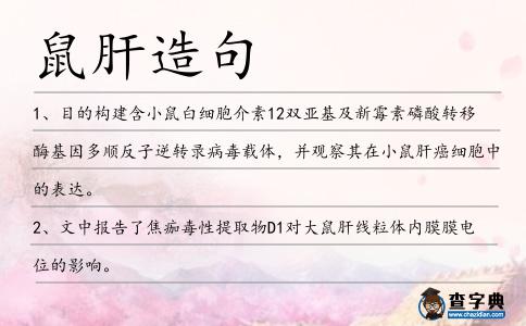 鼠肝造句