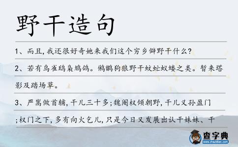野干造句