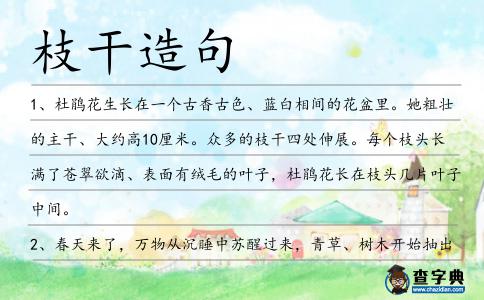 枝干造句