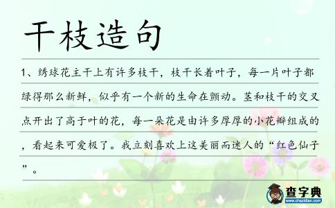 干枝造句