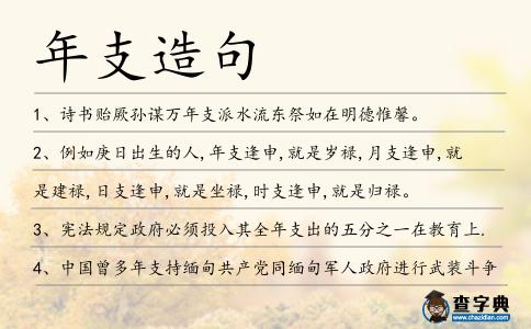 年支造句