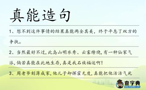 真能造句