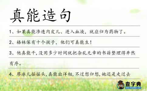 真能造句