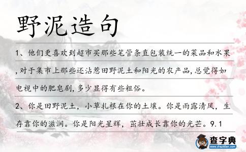 野泥造句