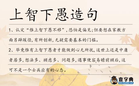 上智下愚造句