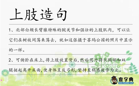 上肢造句