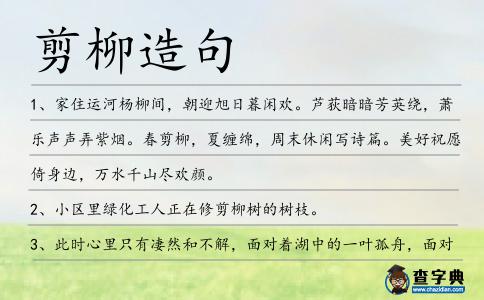 剪柳造句