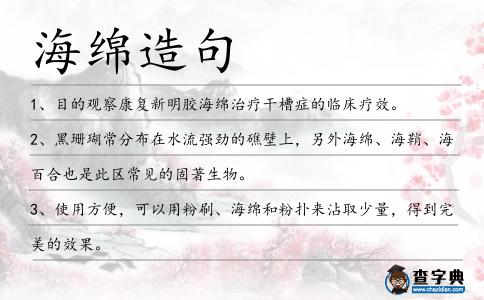 海綿造句