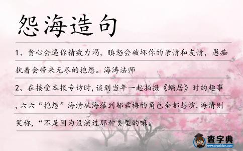 怨海造句