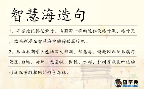 智慧海造句
