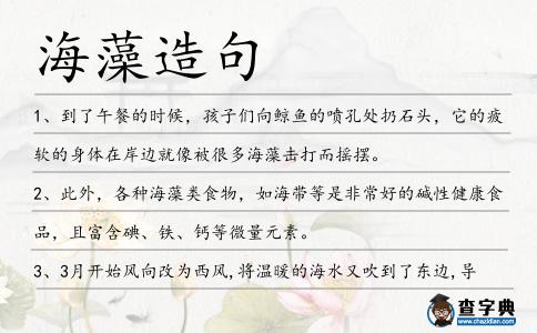 海藻造句